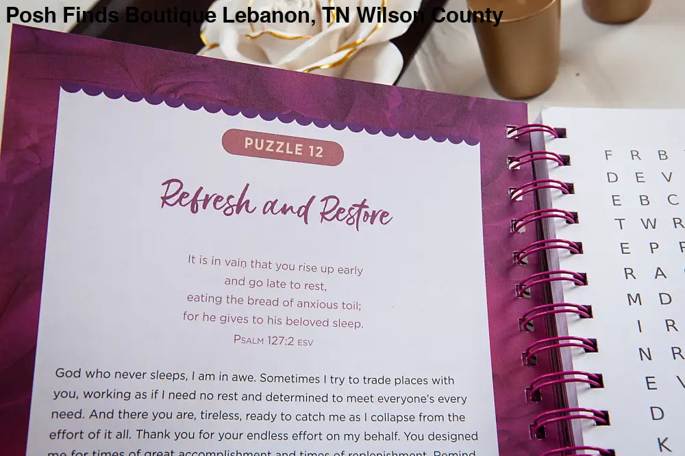 100 Days of Prayer for Women (Word Search Devotional) - Posh Finds