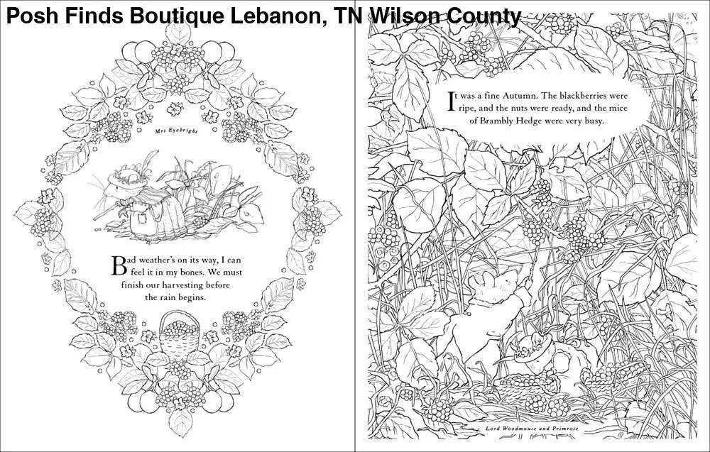 Brambly Hedge: Festive Coloring Book : Jill Barklem - Posh Finds