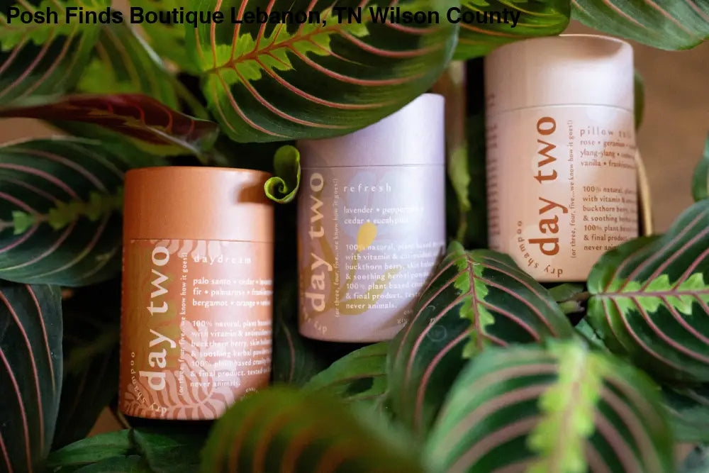 Day Two Natural Dry Shampoo: DAYDREAM - Posh Finds