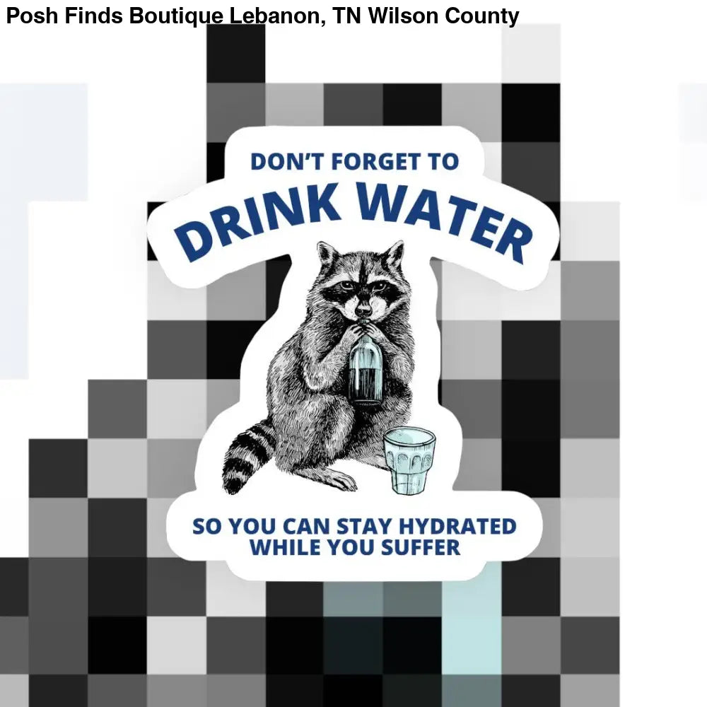 Don’t Forget to Drink Water Raccoon Sticker