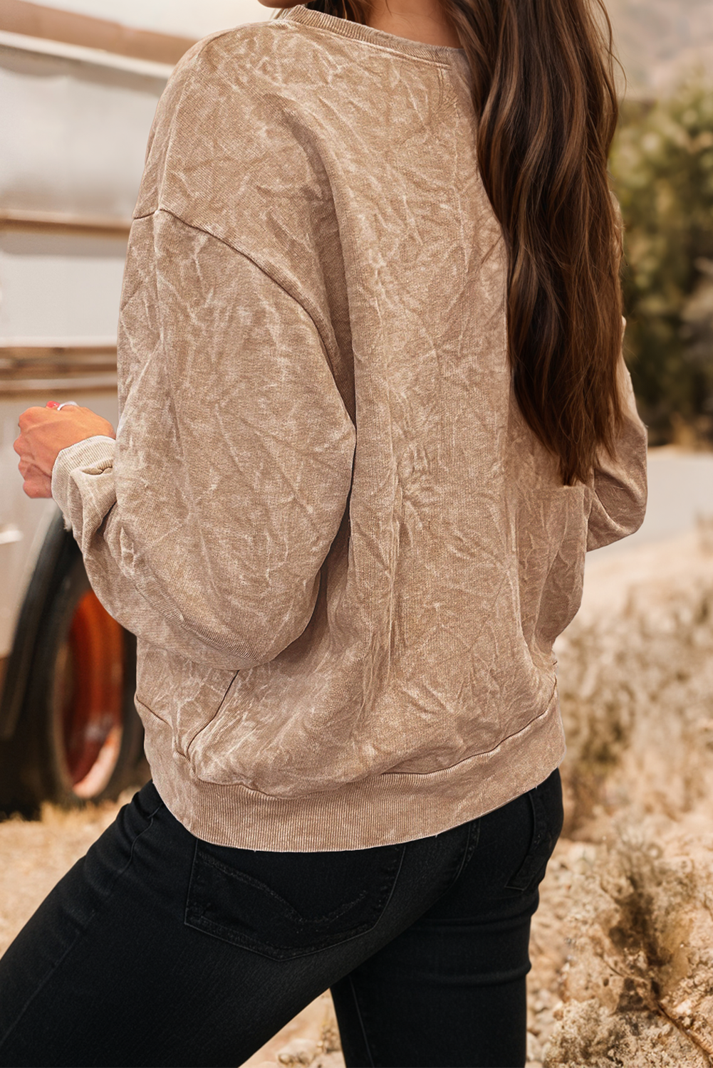 Embroidered Mineral Wash Plus Size Sweatshirt: DUNE