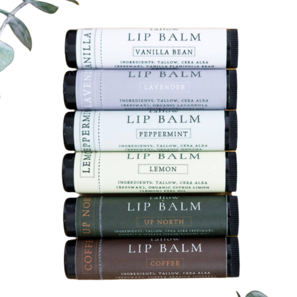Tallow Lip Balm: Vanilla Bean or Coffee *Preorder*