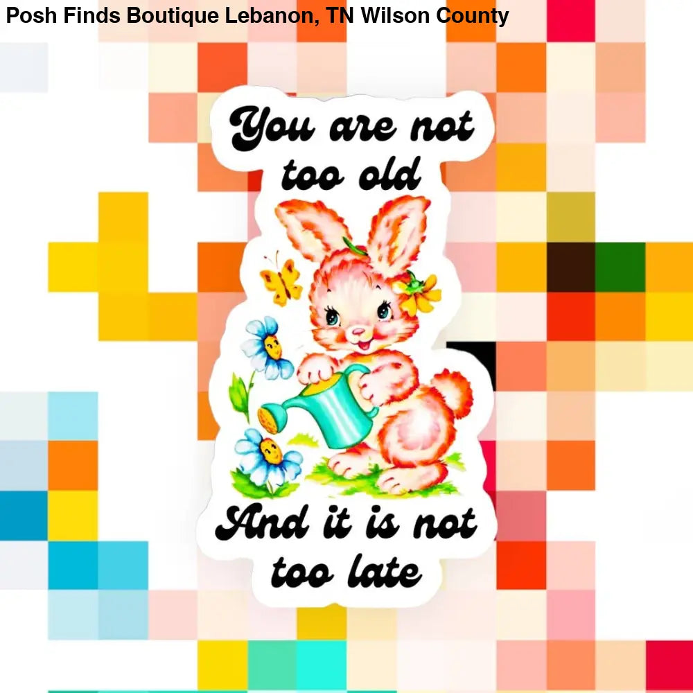 You Are Not Too Old & It Is Not Too Late Sticker