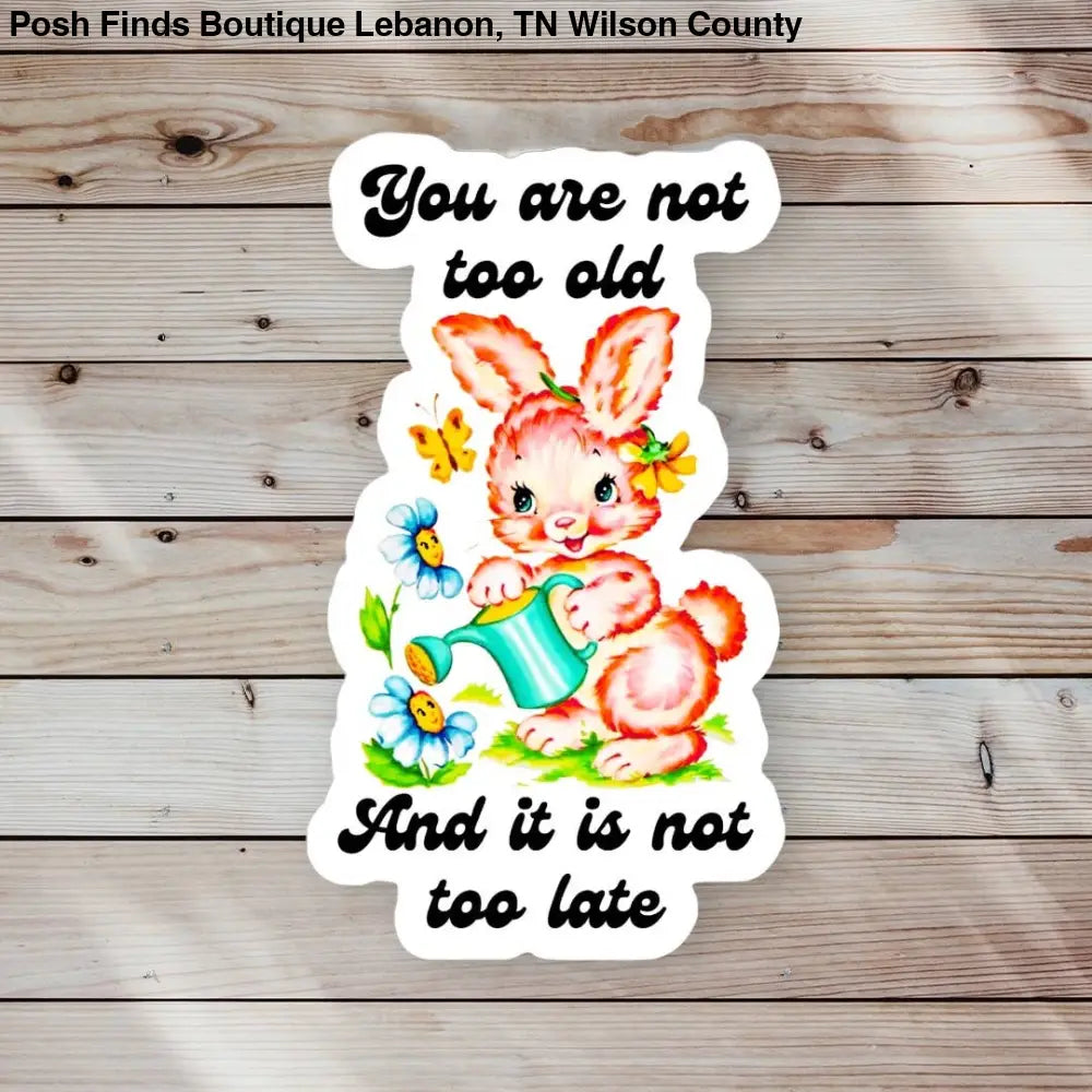 You Are Not Too Old & It Is Not Too Late Sticker
