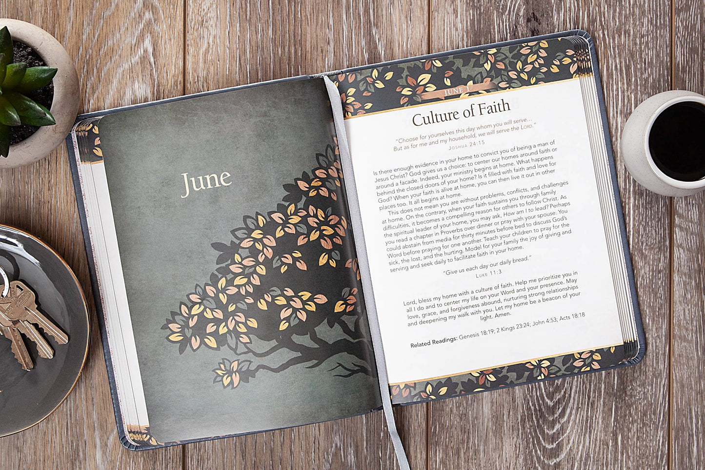 Strength for Life (Devotional, Christmas Gifts for Men)