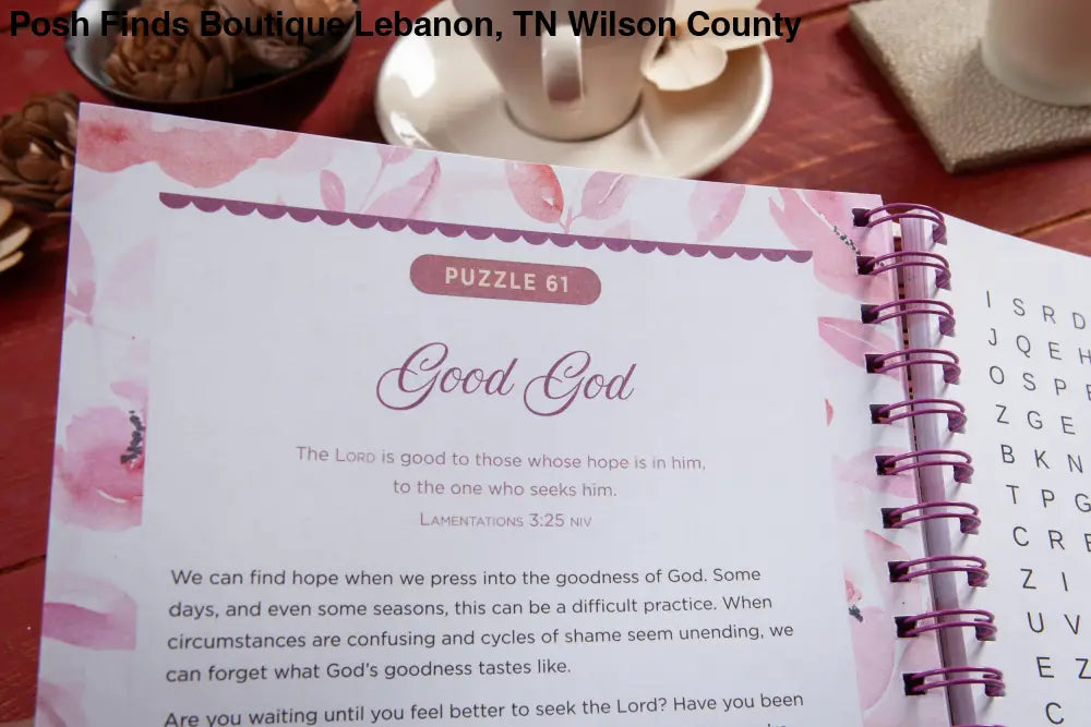 100 Days of Hope for Your Soul (Word Search Devotional) - Posh Finds