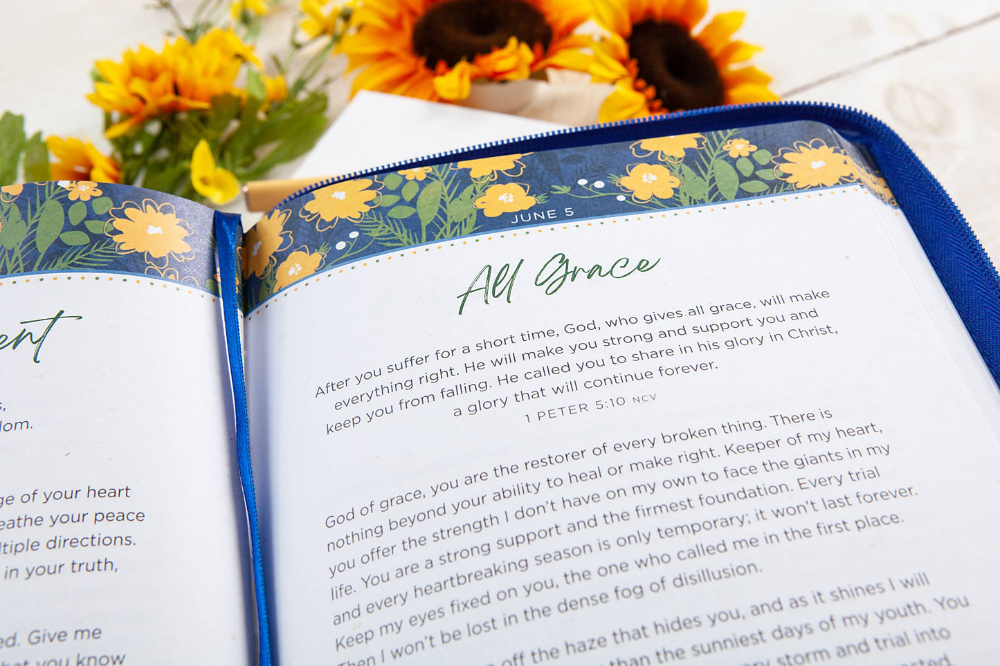 365 Days of Prayer for Life (Zippered Prayer Devotional)