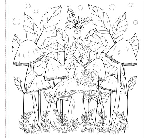 Peter Pauper Press Mushrooms Adult Coloring Book, Pack of 1