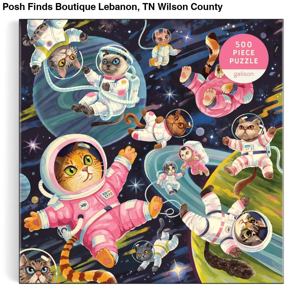 A Space Meowdyssey 500 Piece Puzzle