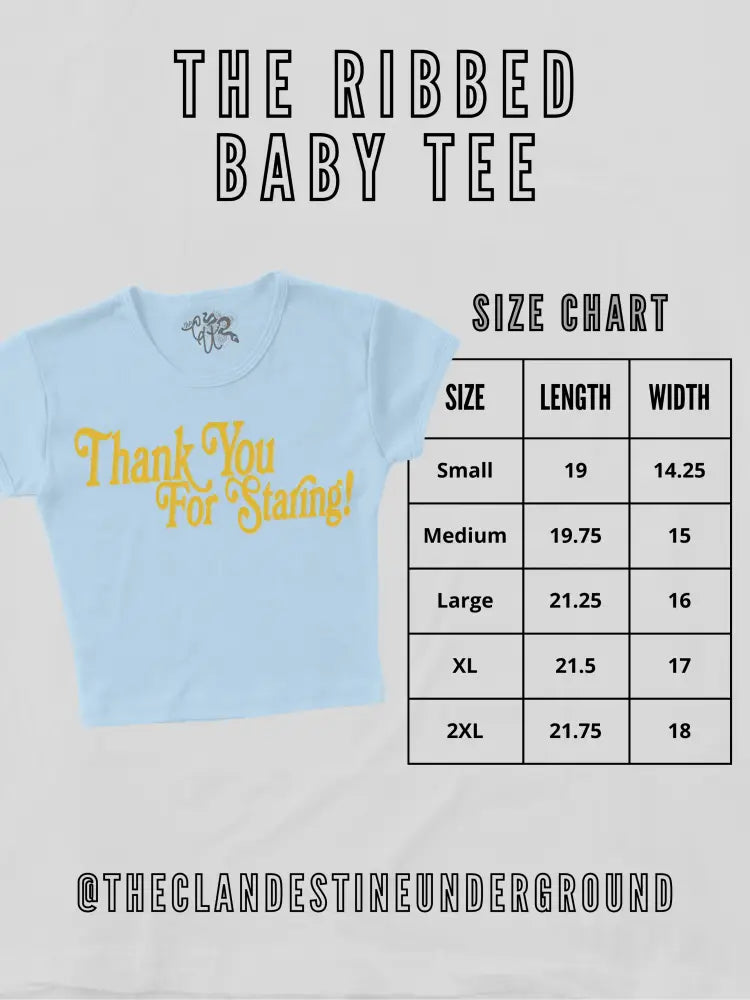 All's Fair In Love & Poetry Micro-Ribbed Baby Tee: Ash Gray - Posh Finds