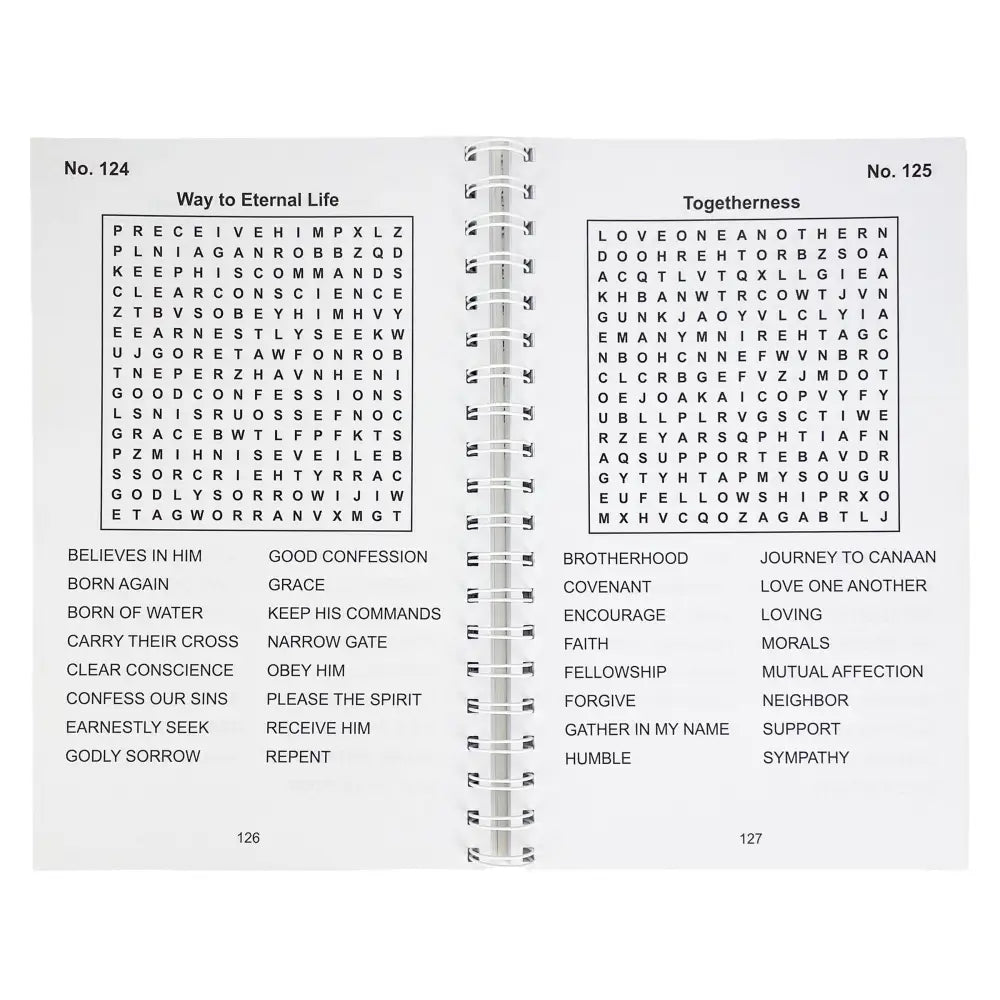 Bible Large Print Religious Word Search Adult Puzzle Book