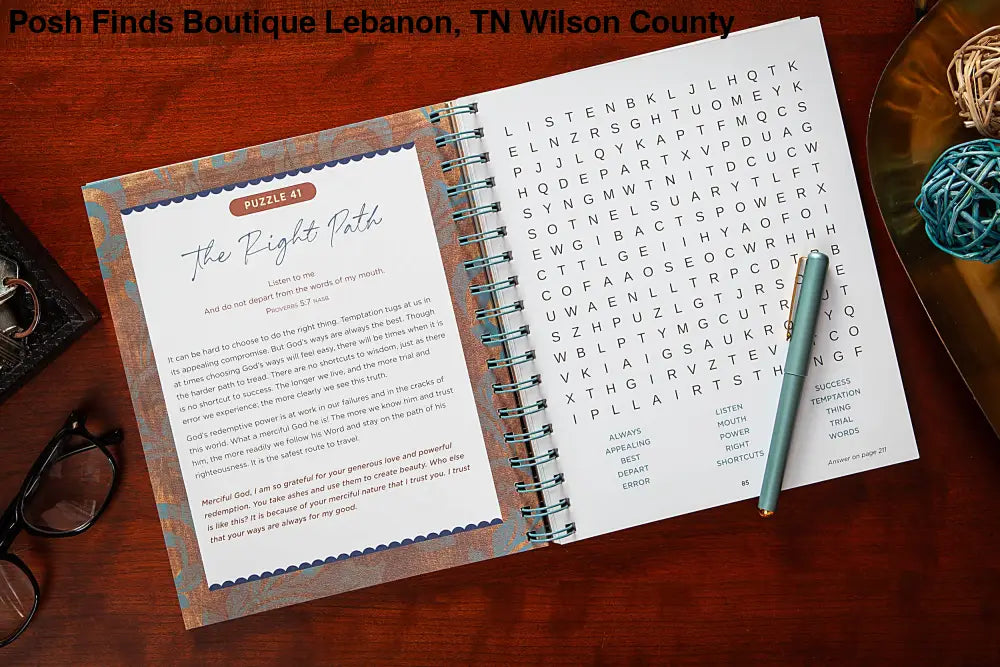 Bible Word Search Devotional (Proverbs) - Posh Finds