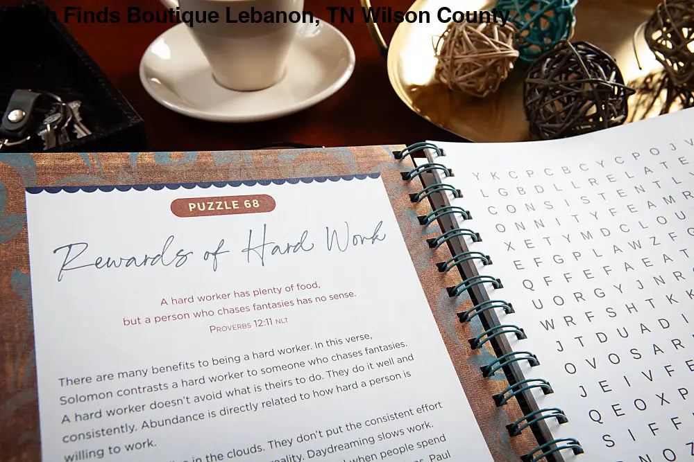 Bible Word Search Devotional (Proverbs) - Posh Finds