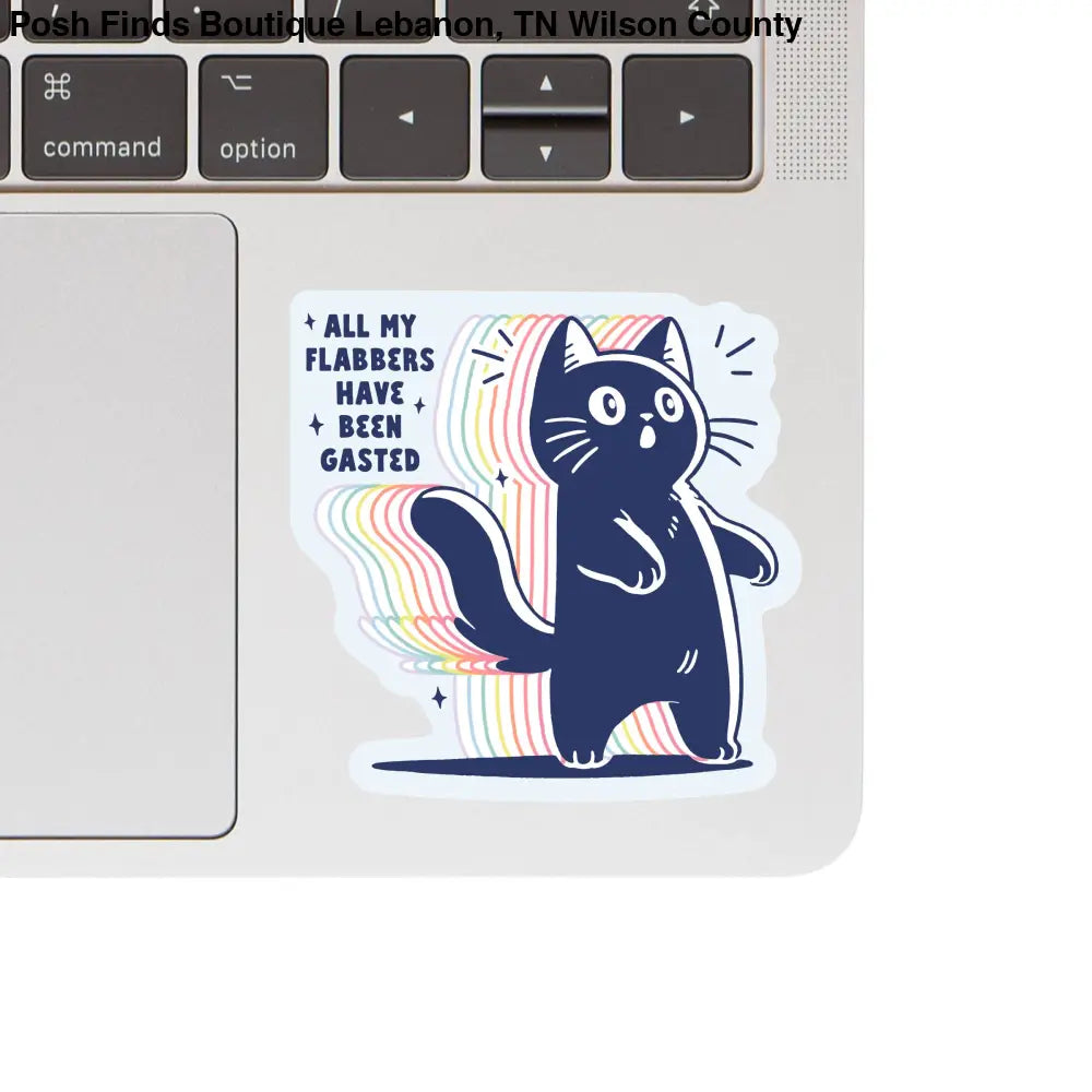 Funny Cute Kitty Cat Sarcastic High Quality Vinyl Sticker - Posh Finds