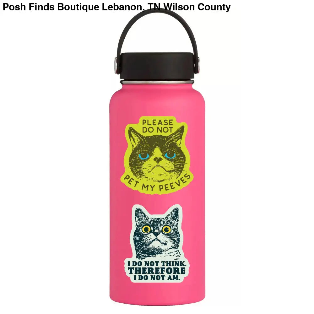Funny Kitty Cat Goofy Humor High Quality Vinyl Sticker - Posh Finds