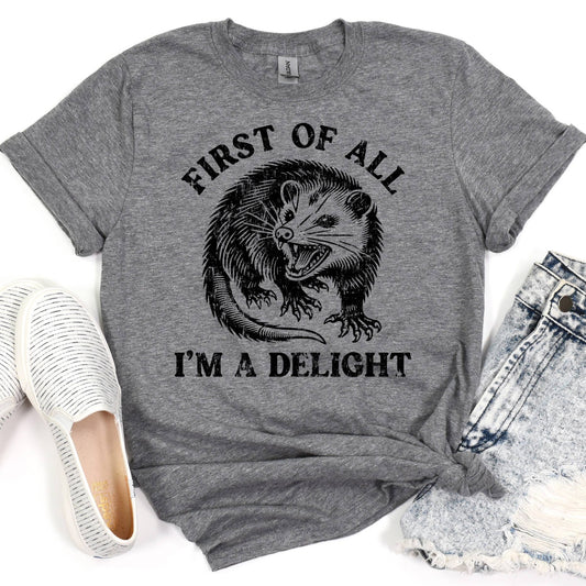 I'm a Delight Possum Graphic Tee in Gray - Posh Finds
