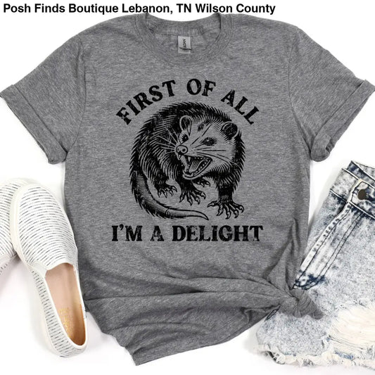 I'm a Delight Possum Graphic Tee in Gray - Posh Finds