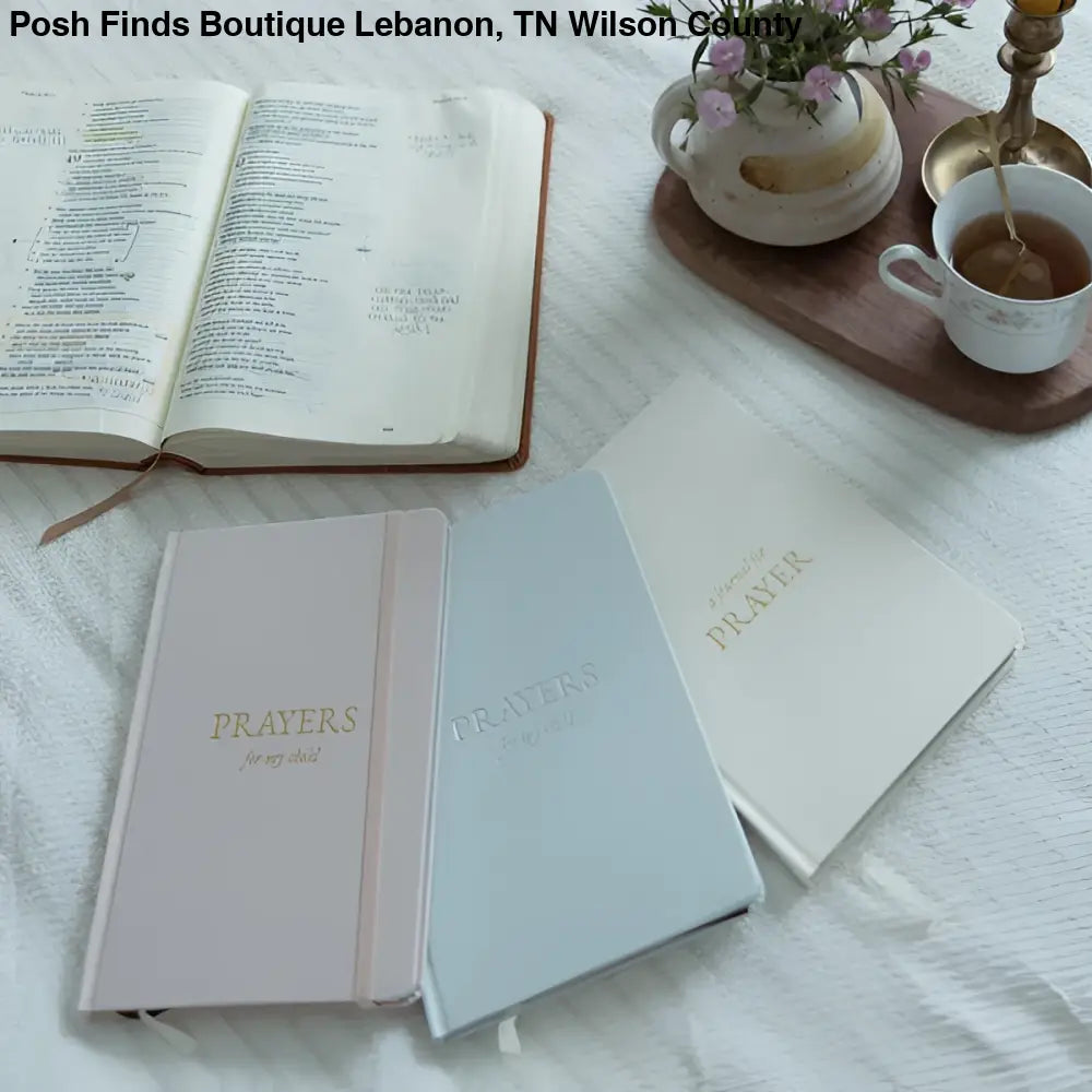 Journal for Prayers for my child Blue or Pink - books