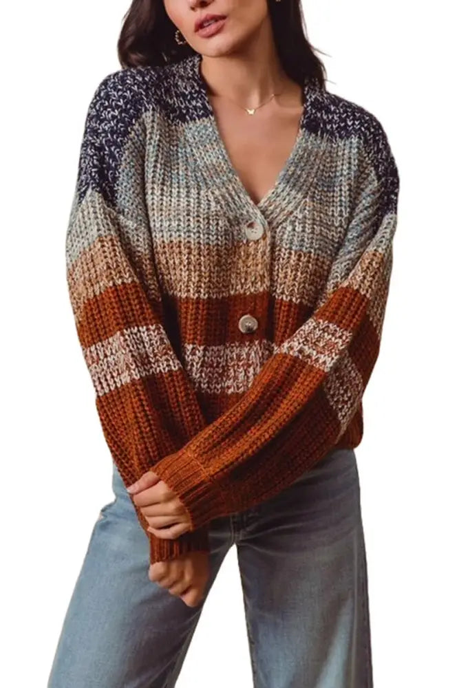 Multi Color Stripe Sweater Cardigan: NAVY/RUST - Posh Finds